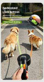 Two dogs walking together with a color-coded dual retractable leash