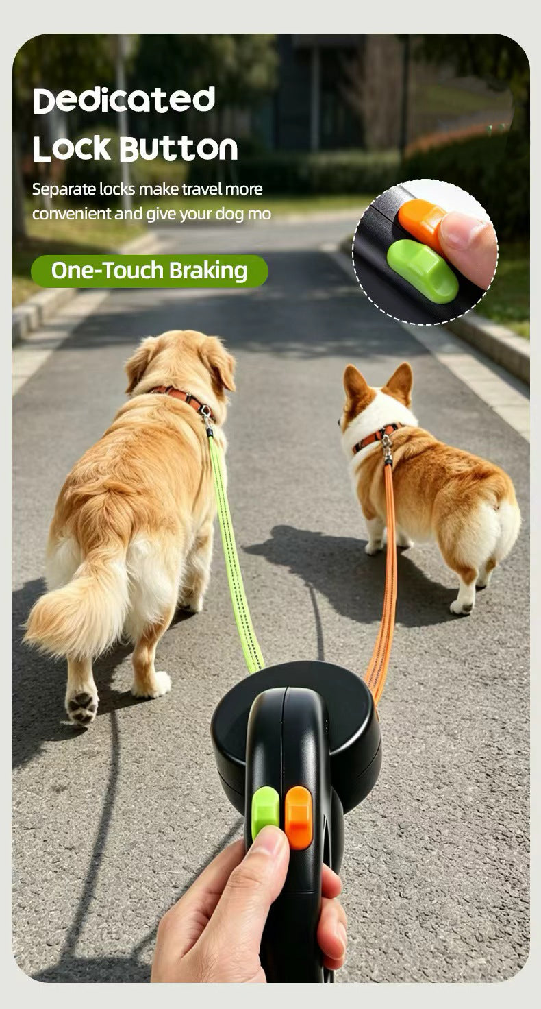 Two dogs walking together with a color-coded dual retractable leash
