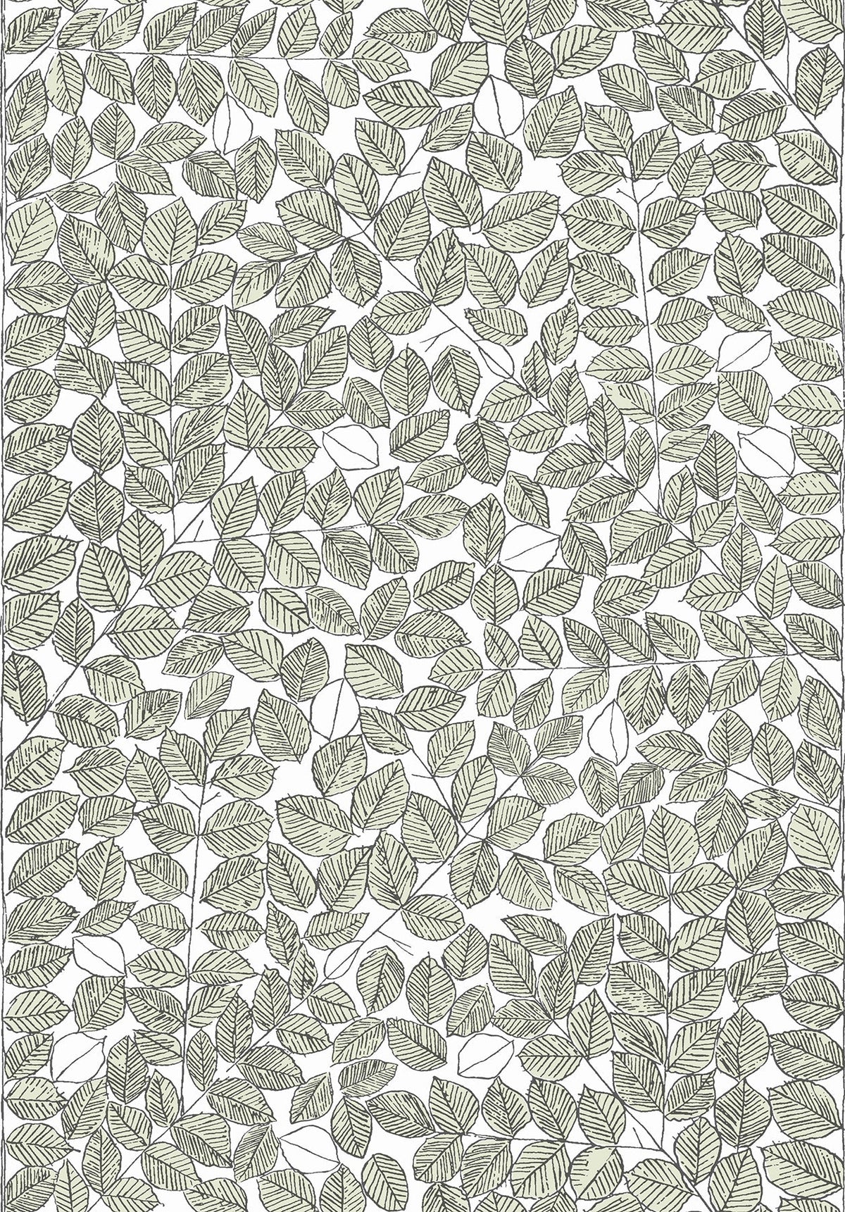 Wall Vision WV1769 Romans Light Green Leaf Wallpaper