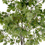 Grand Ficus Tree Drop-In 8'