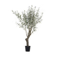 Grand Olive Tree Drop-In 6'6
