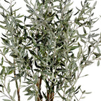 Grand Olive Tree Drop-In 6'6